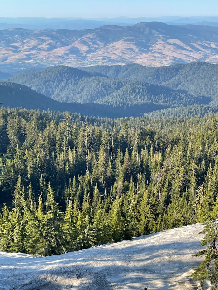 Breathtaking view of evergreen forests and mountain ranges in Ashland, Oregon's natural landscape.
